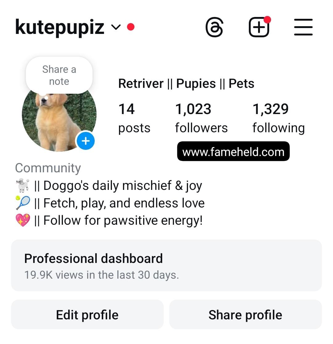 7.5k dogs preview