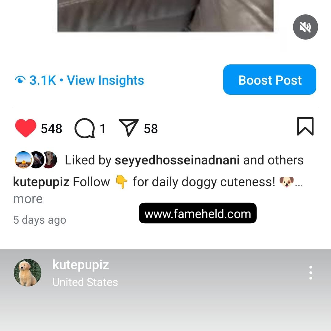 7.5k dogs screenshot 3