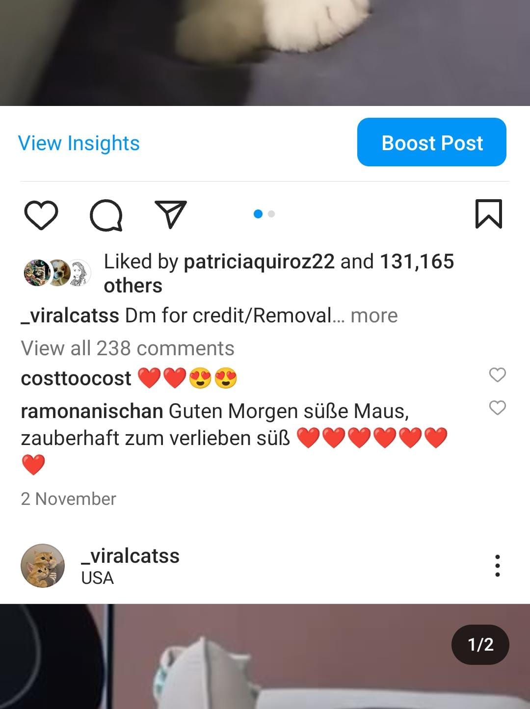 13k cats screenshot 3