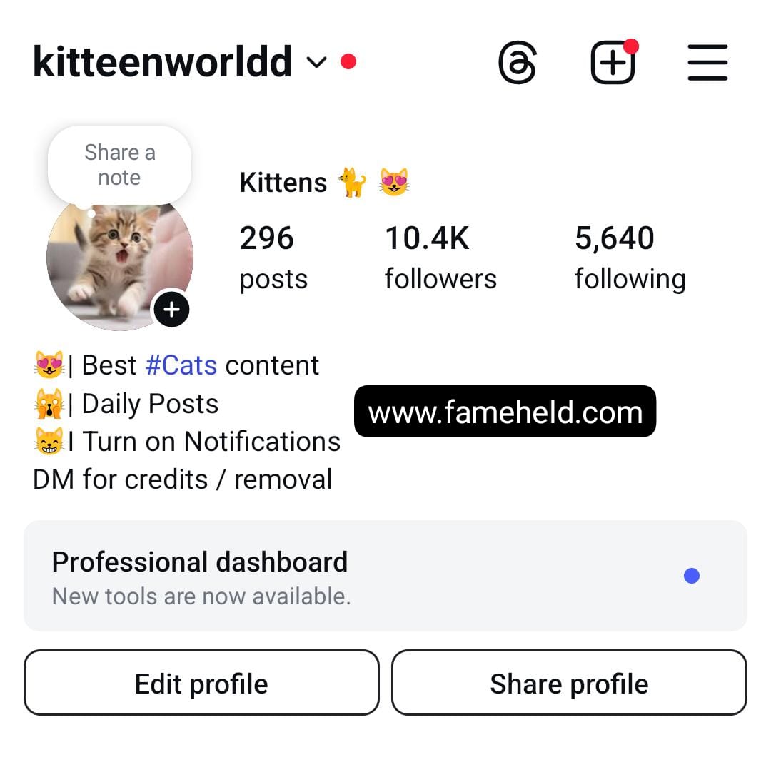 15k cats preview