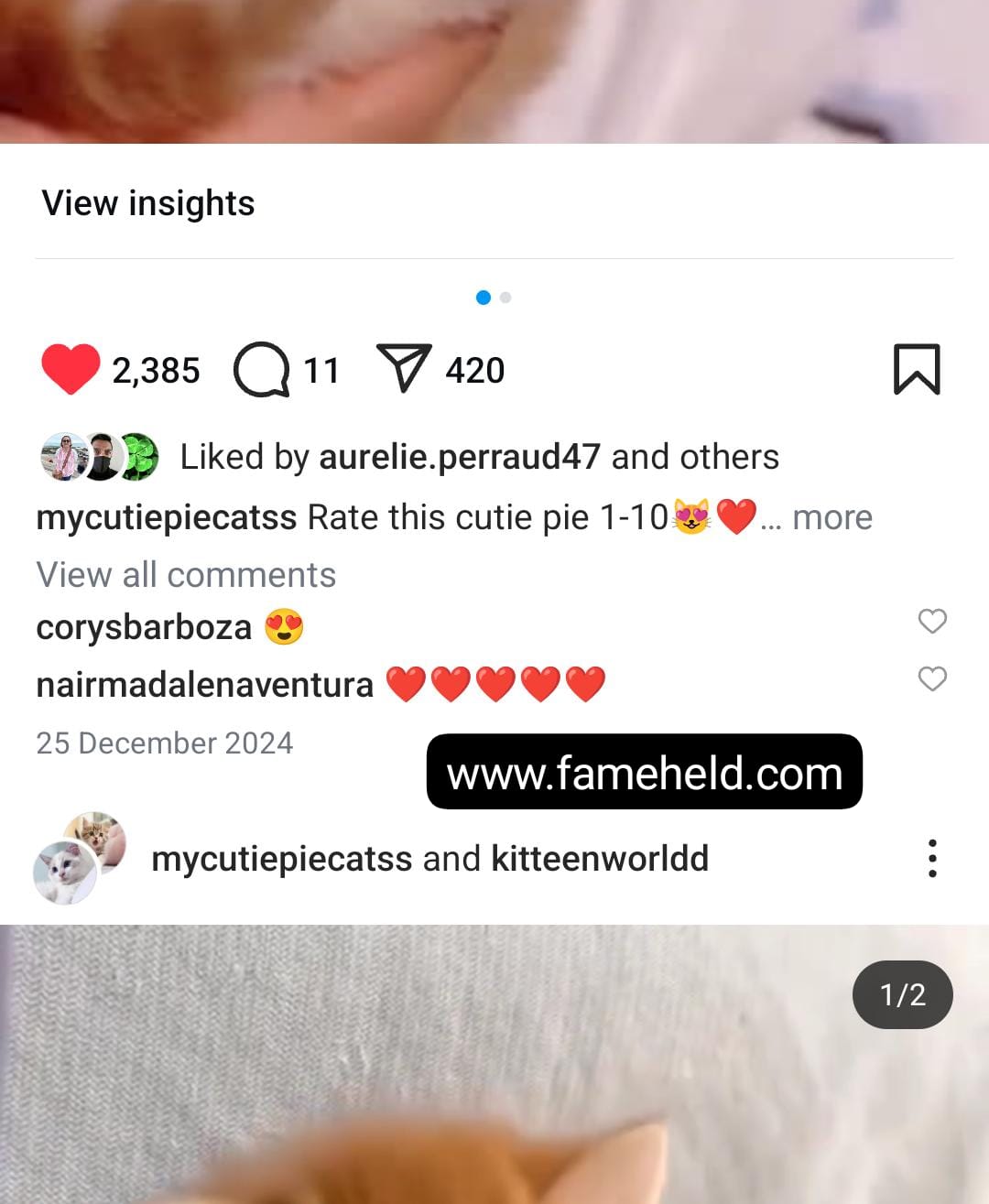 15k cats screenshot 2