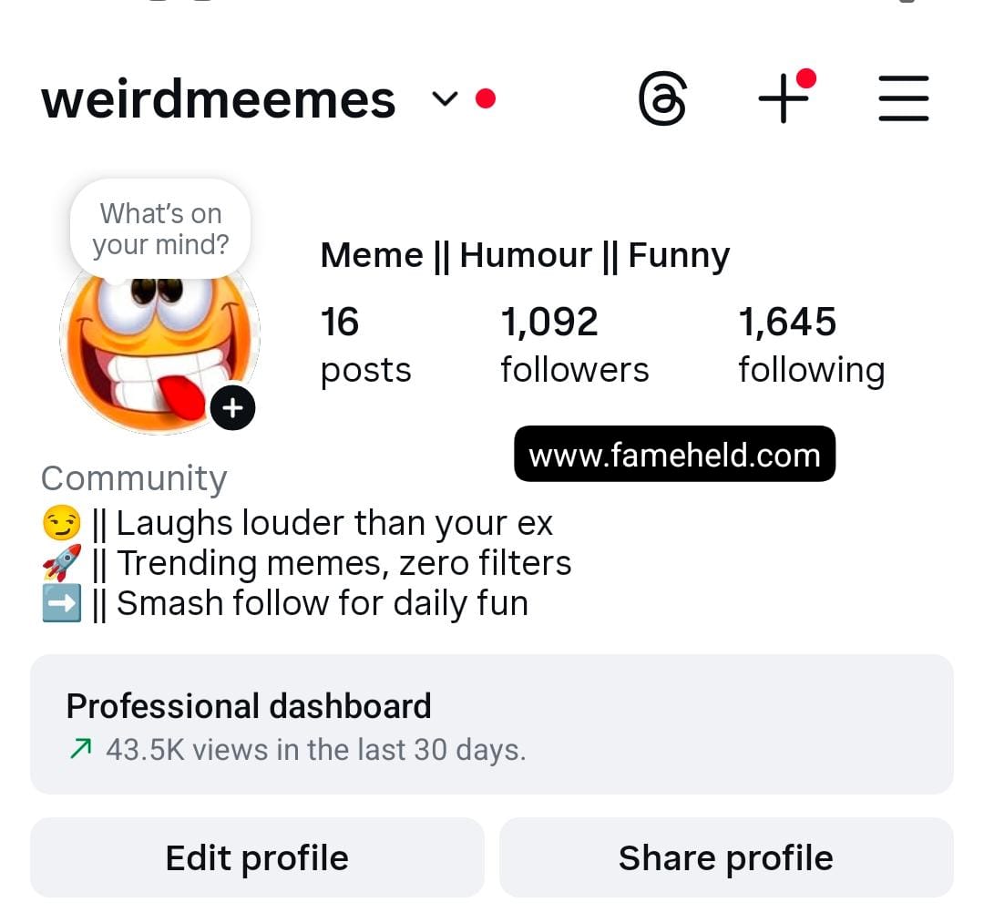 1k memes preview