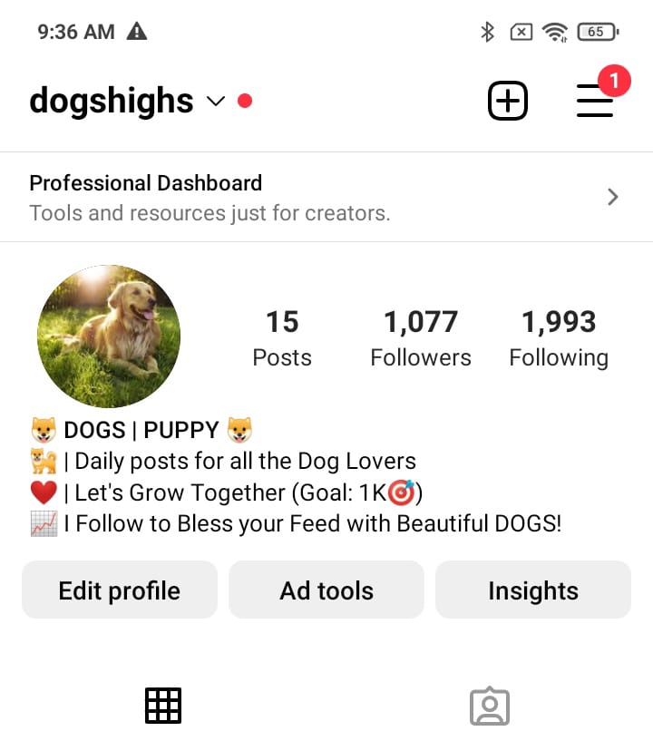 2.1k dog memes preview