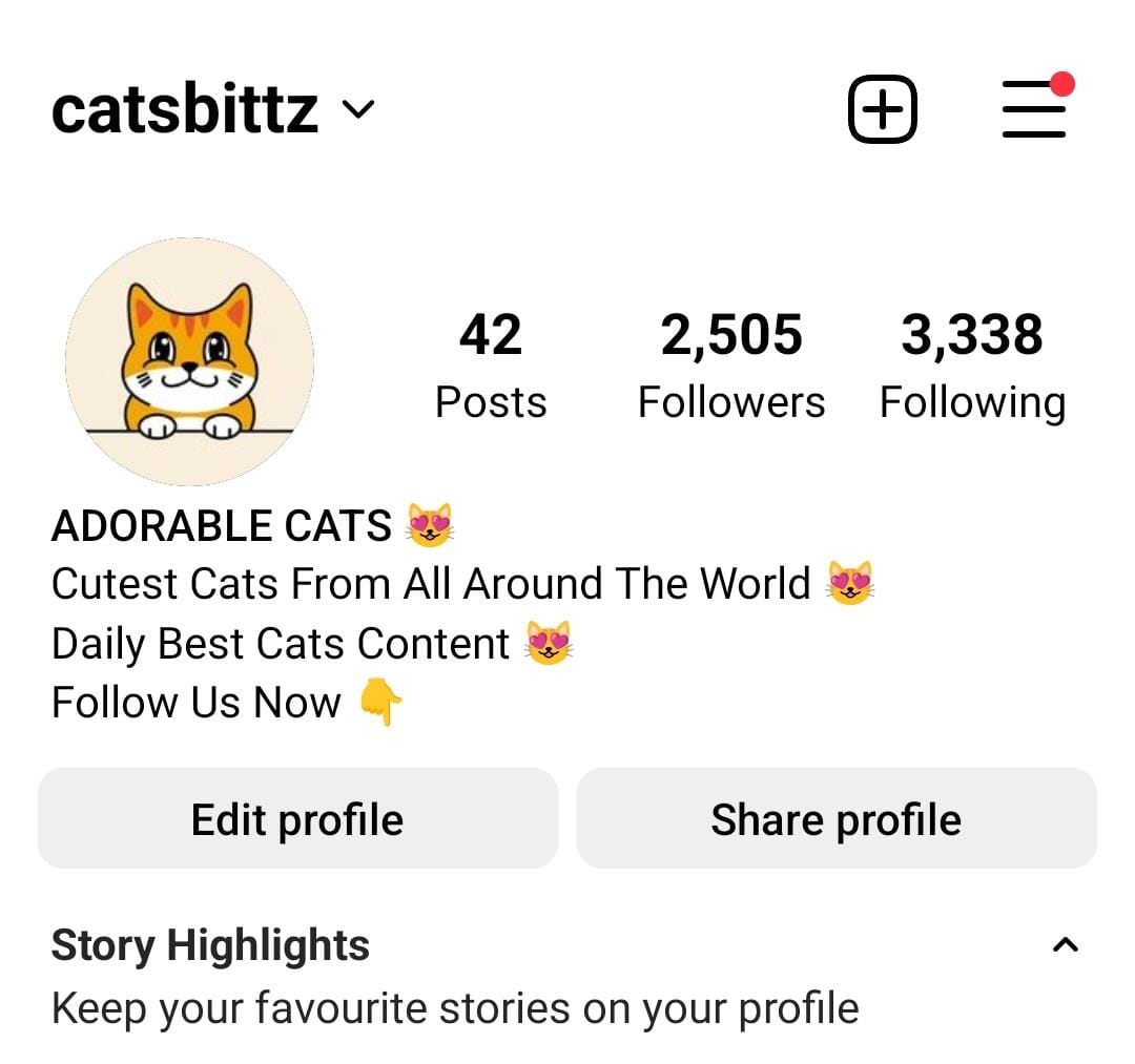 6k cats preview