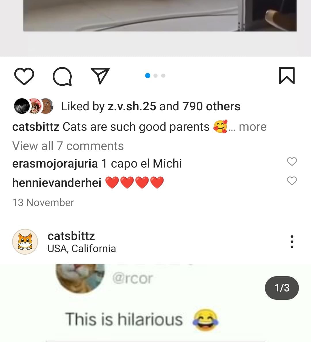 6k cats screenshot 2