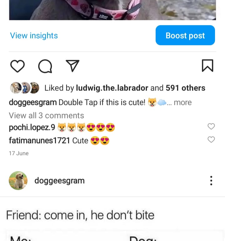 2.1k dogs screenshot 2