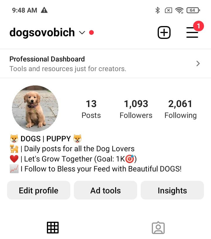 2.5k dog memes preview