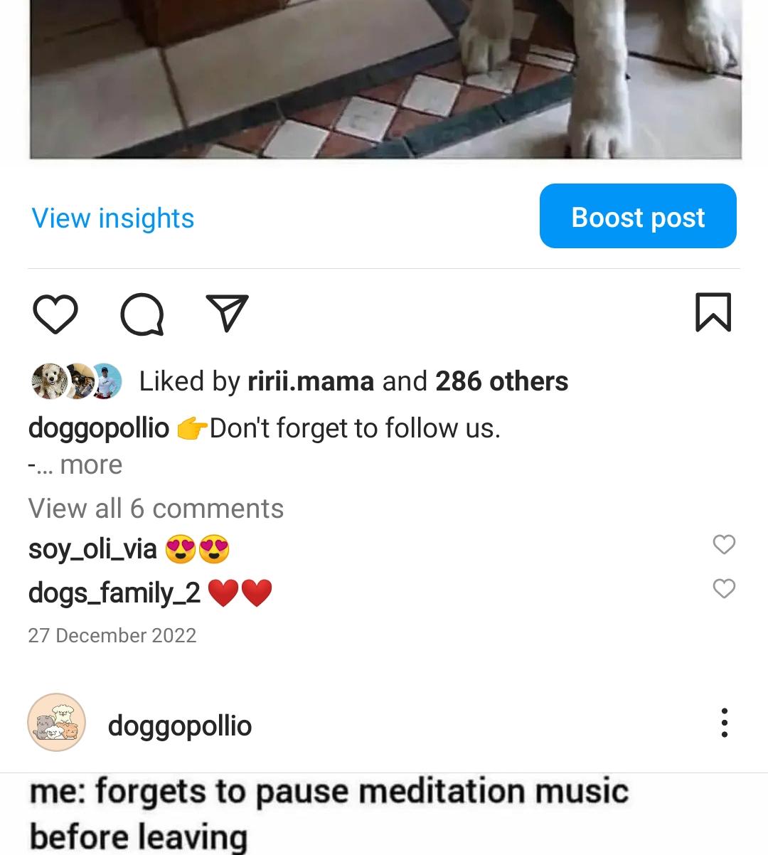2k dog meme screenshot 3