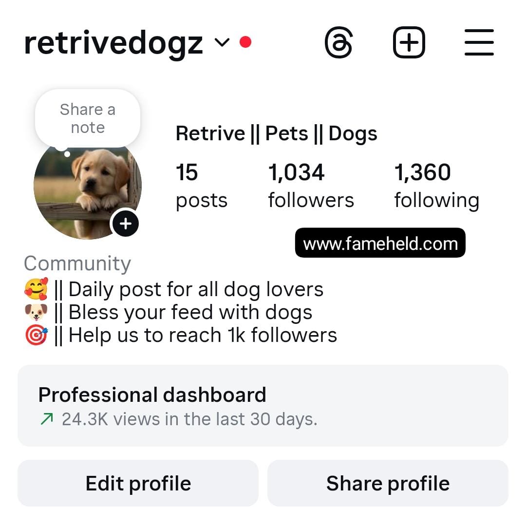 2k dogs preview