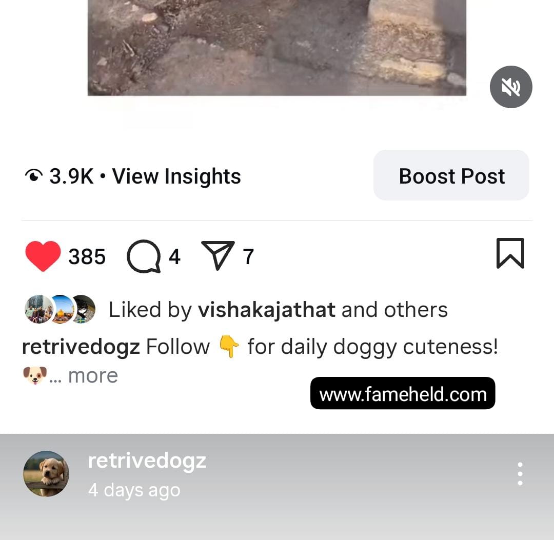 2k dogs screenshot 3