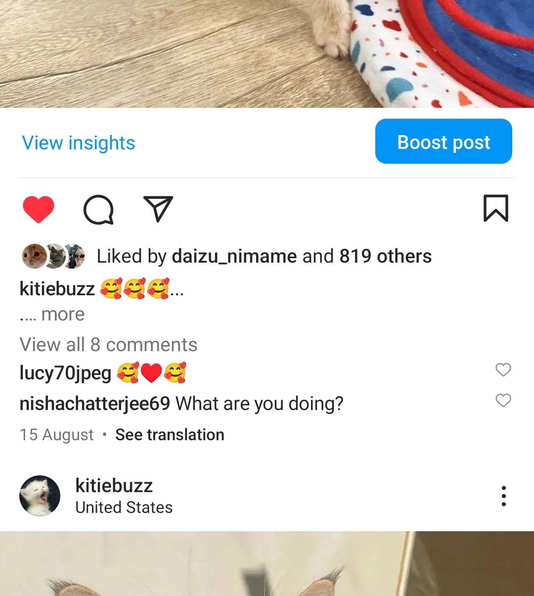28k cats screenshot 3
