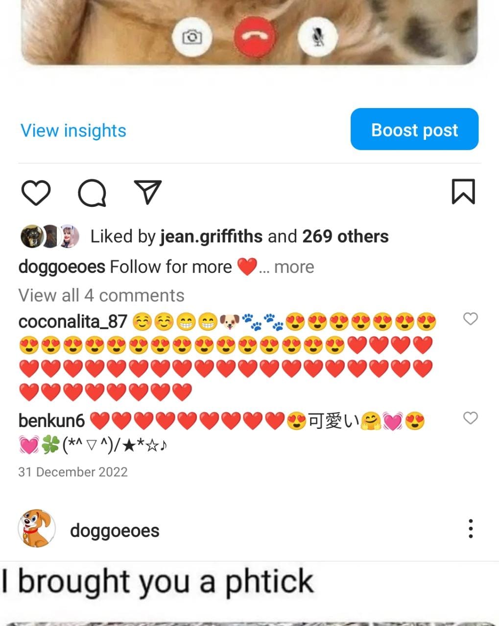 3.7k dog memes screenshot 3