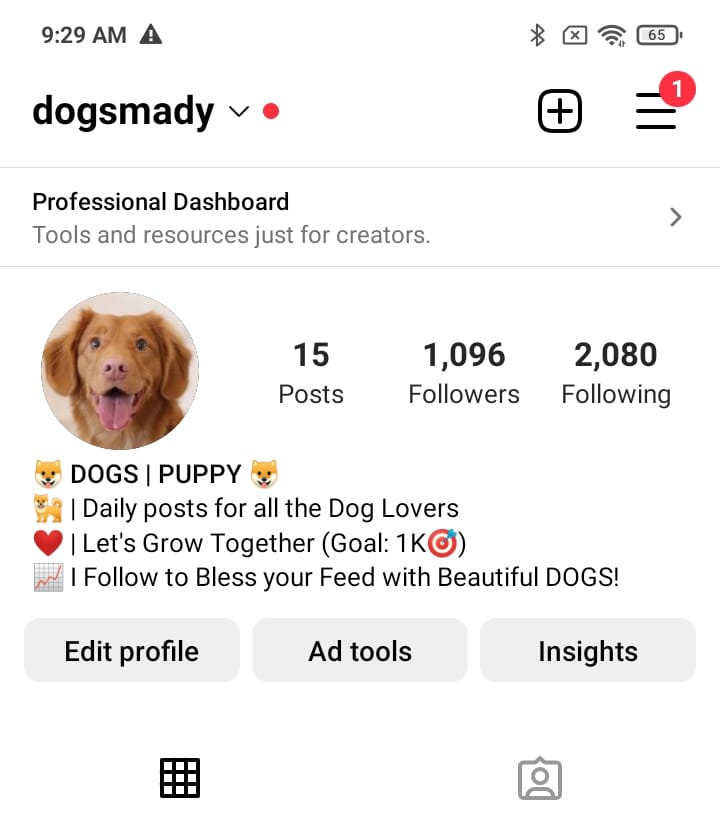 3k dog memes screenshot 1