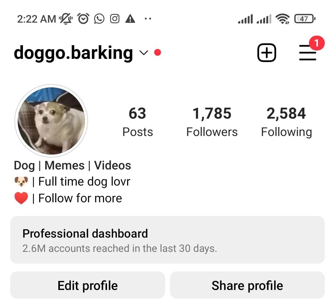3k dog memes preview