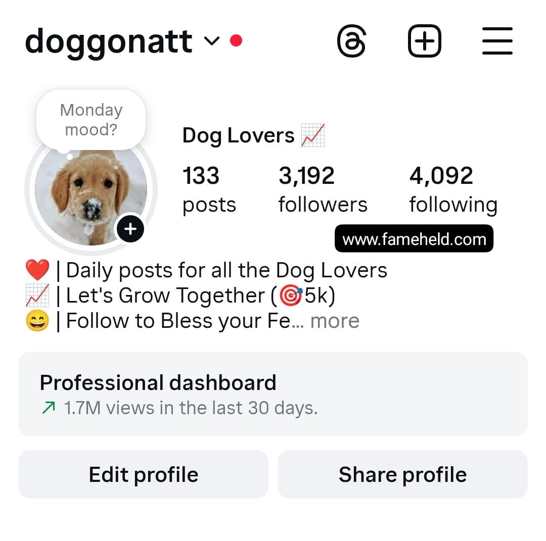 9.1k dogs preview