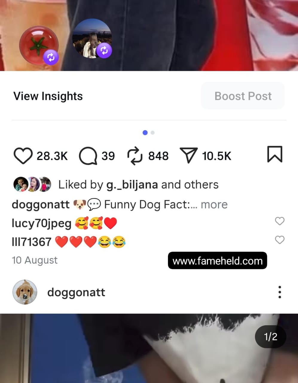 9.1k dogs screenshot 3