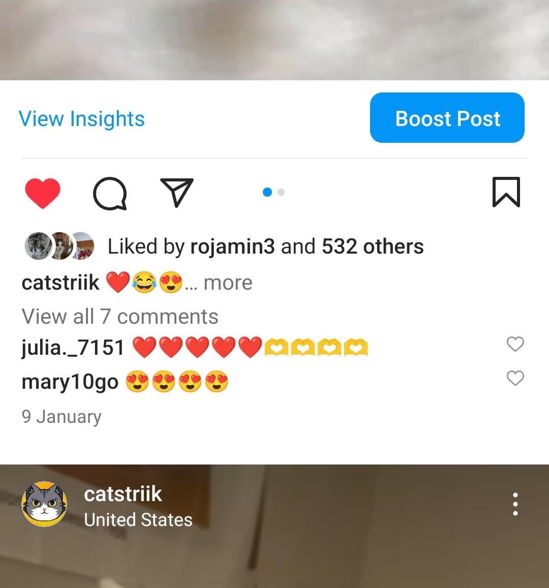 5.4k cats screenshot 3
