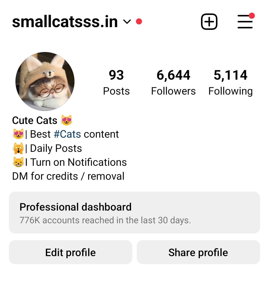 9k cats preview