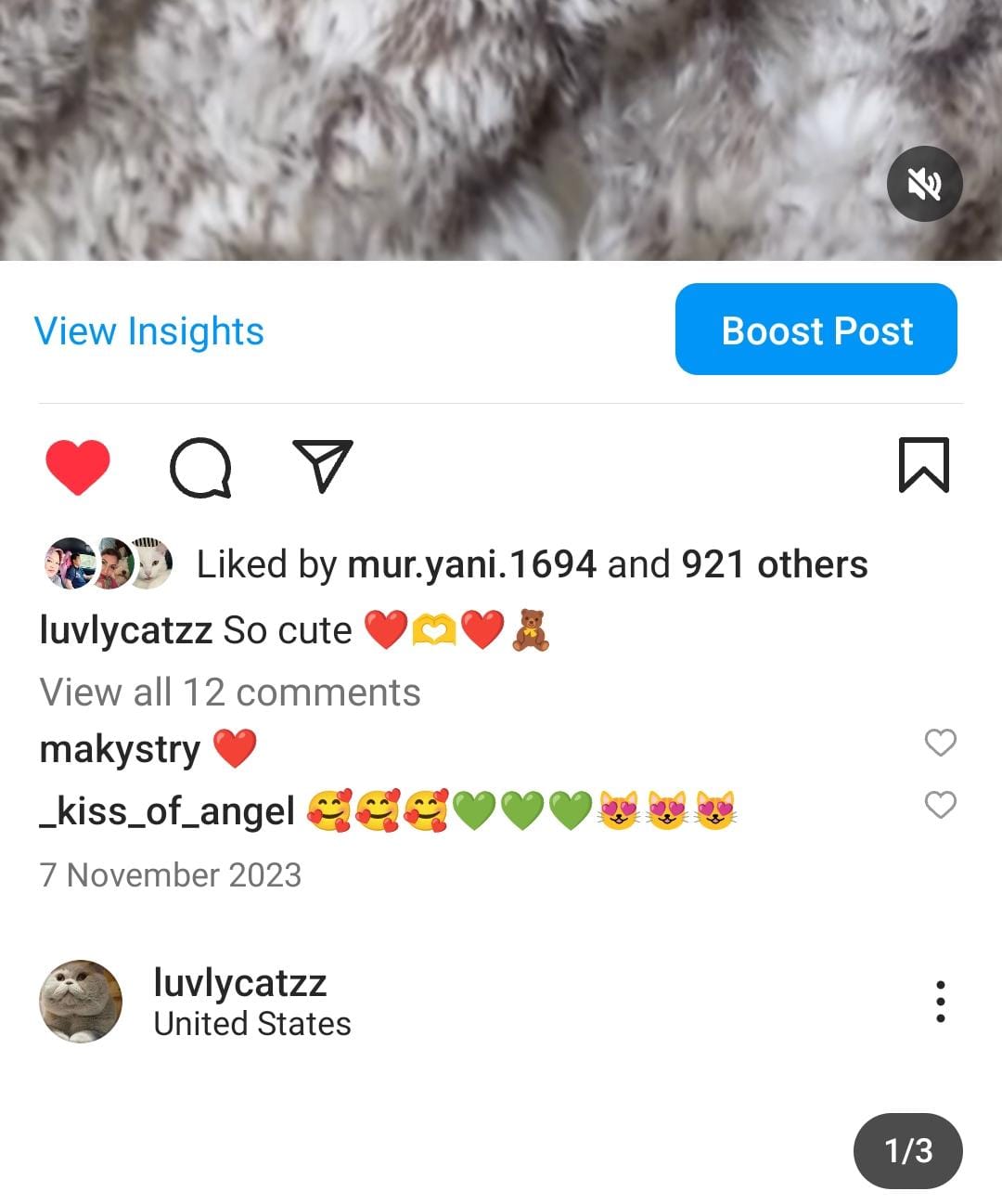 4.9k cats screenshot 2