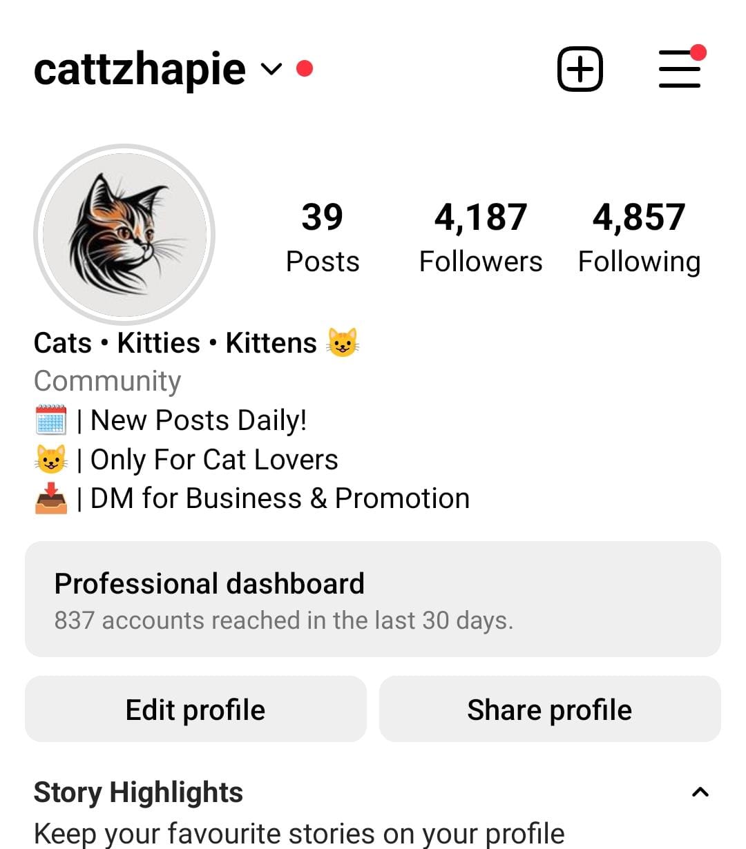 4.8k cats preview