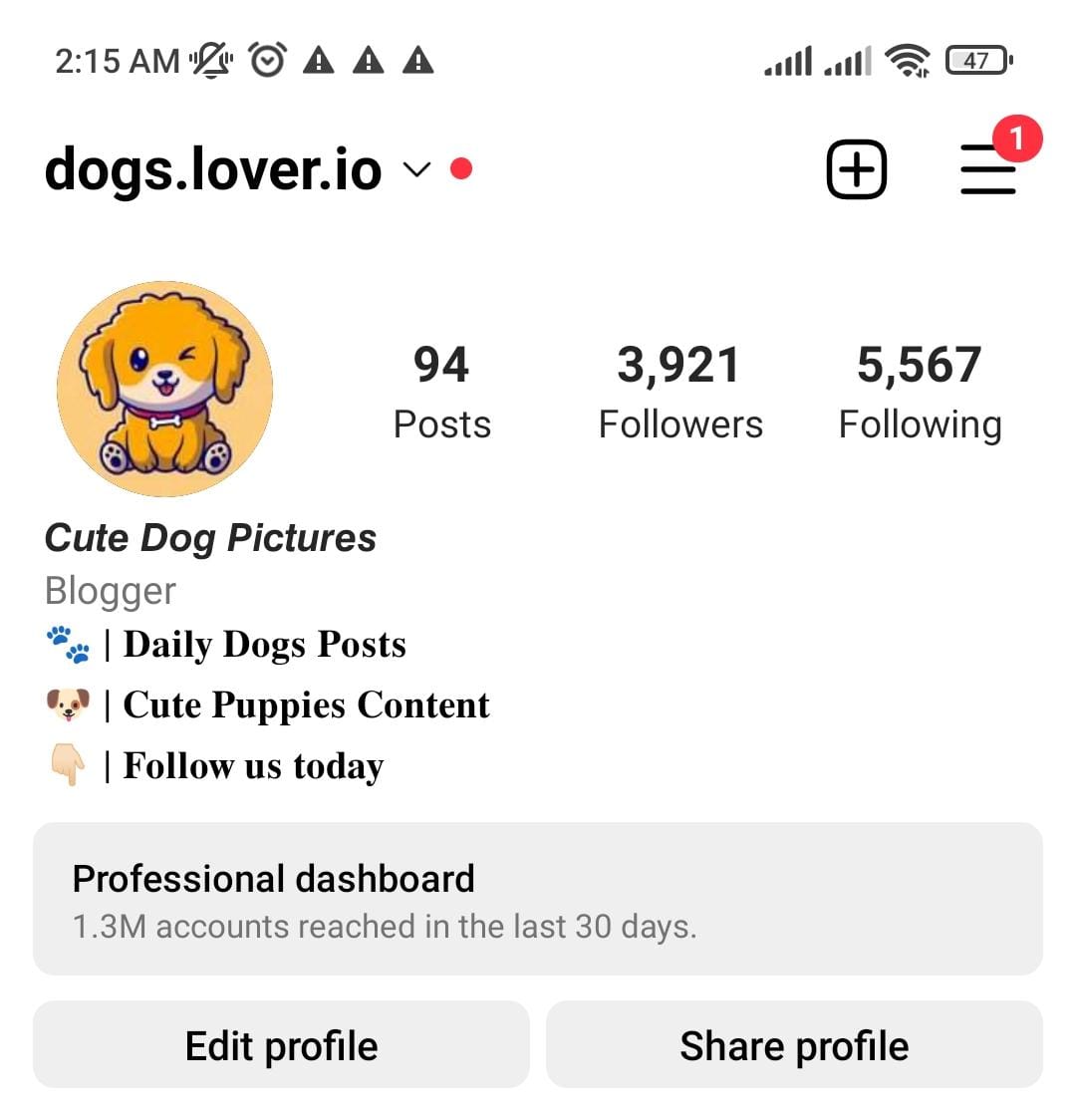 6.4k dogs screenshot 1