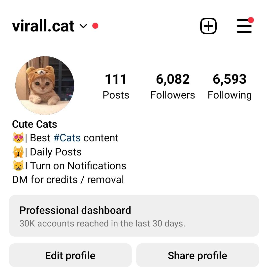 6k cats preview