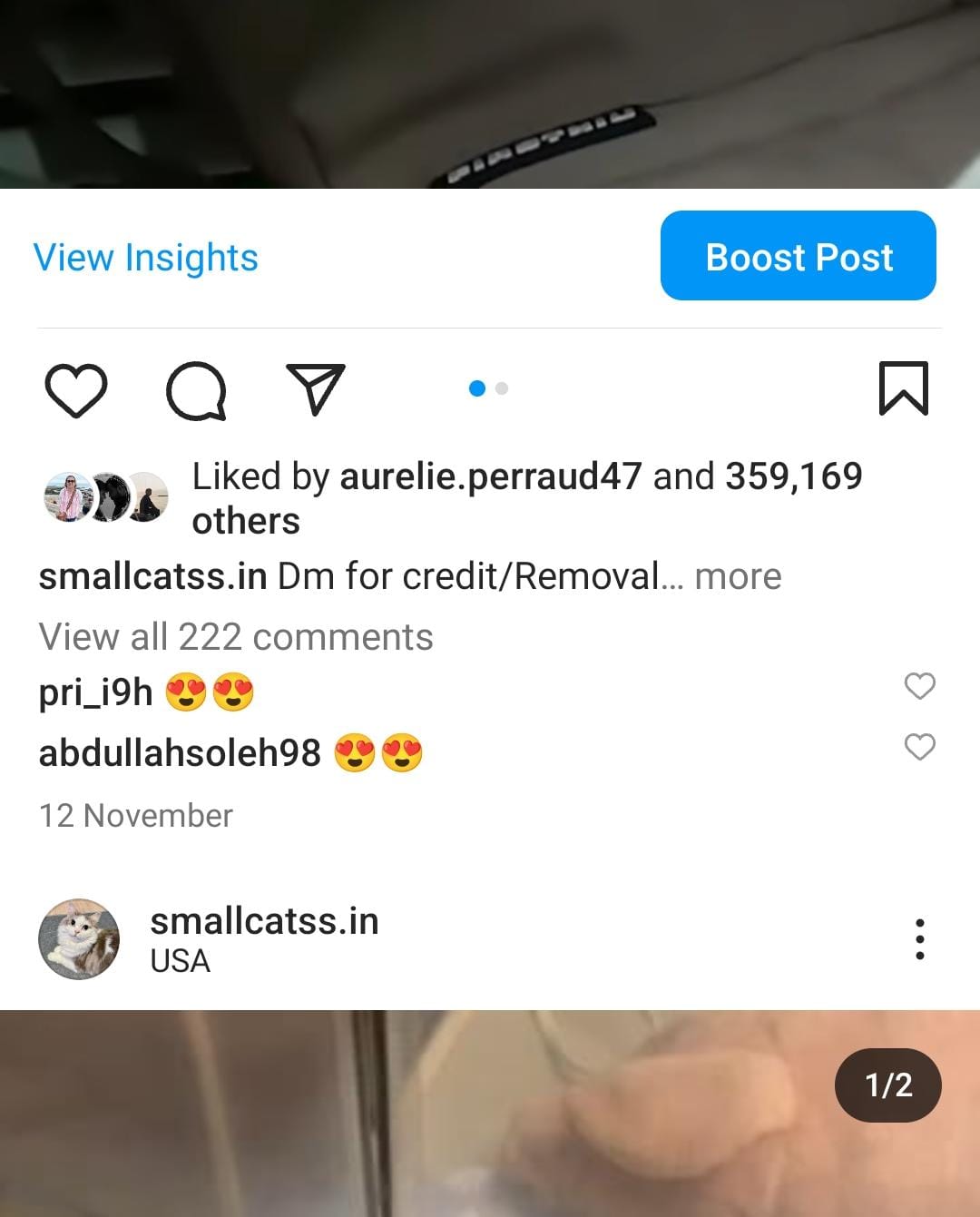 9k cats screenshot 3