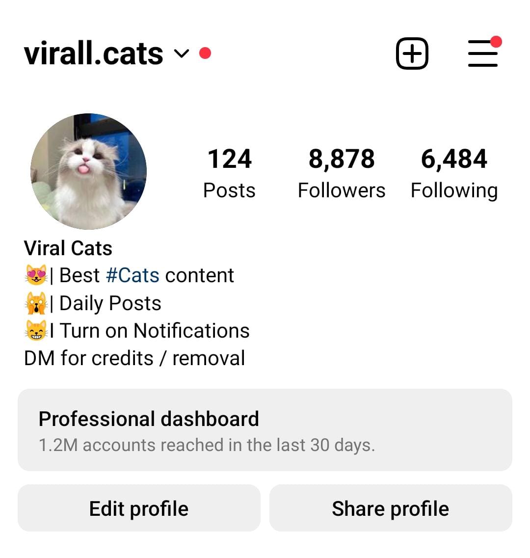 16k cats screenshot 1