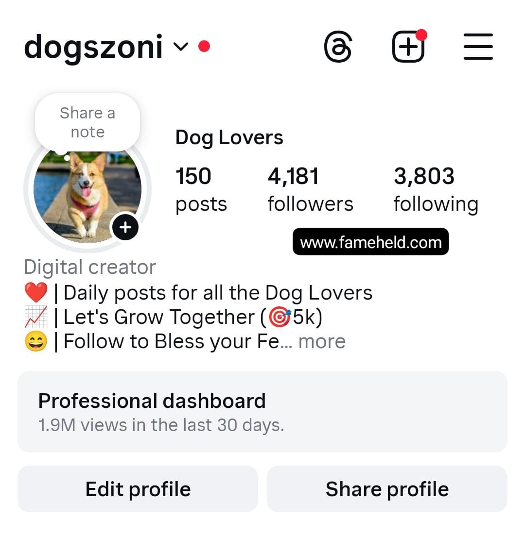 12k dogs preview