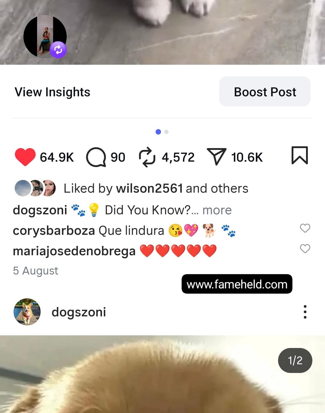 12k dogs screenshot 2