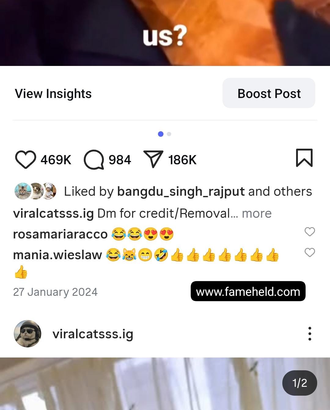14k cats screenshot 3