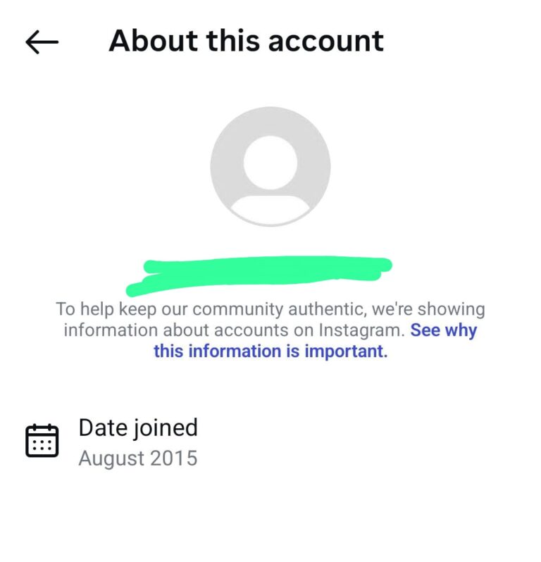 Aged Instagram Accounts 2013-2019 screenshot 3