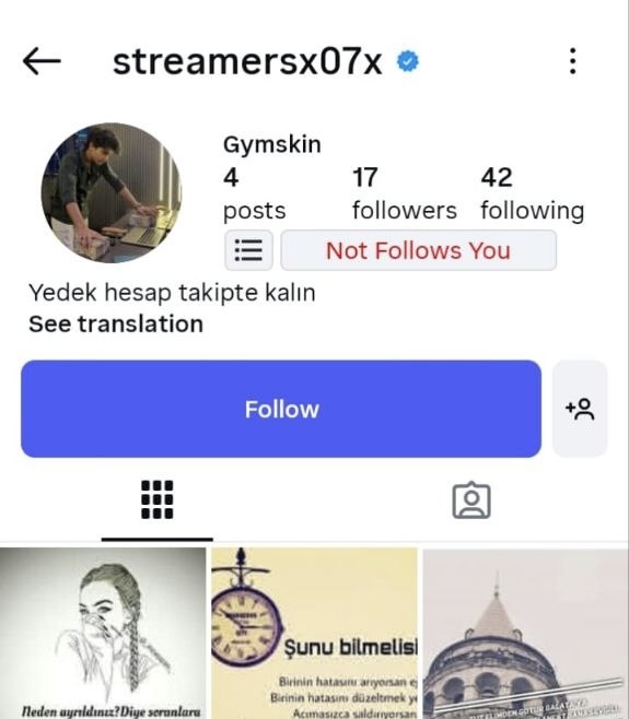 Meta Verified Accounts screenshot 2