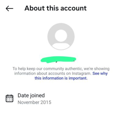 Aged Instagram Accounts 2013-2019 preview